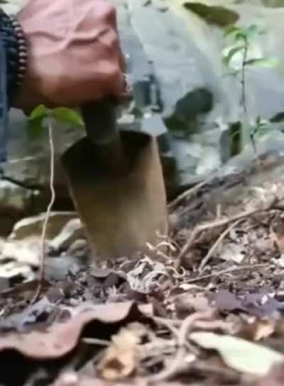 Maybe maybe maybe