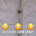 He got the moves doe 😳