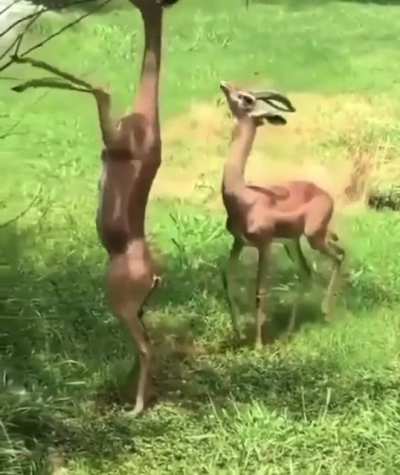 When life is a struggle, we all need a friend like this.