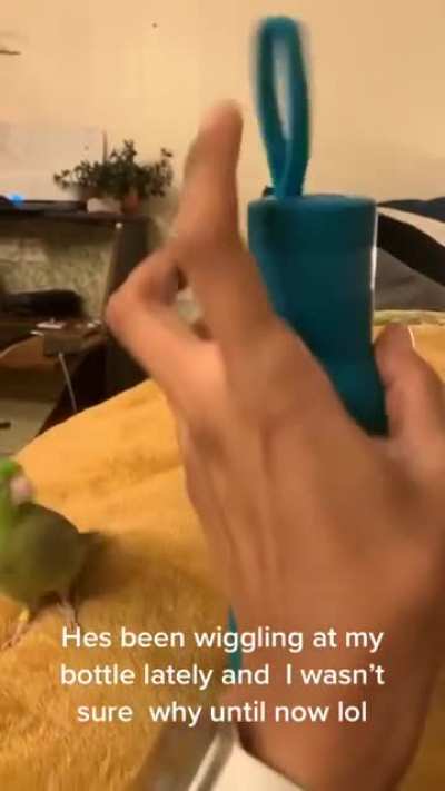 Cute birb