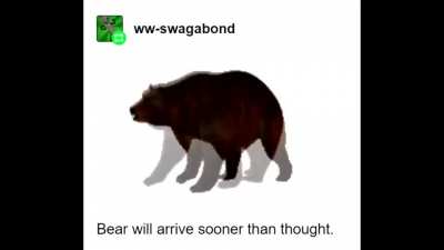 b e a r