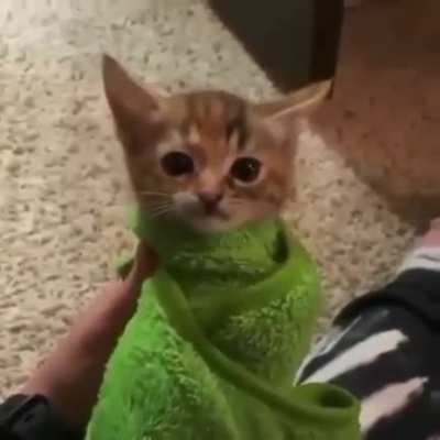 Dollar menu burrito