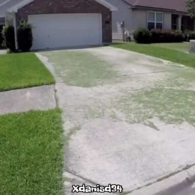 grass