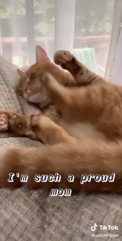Foot malfunctioning