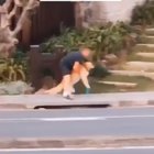 When your dog is done with walk