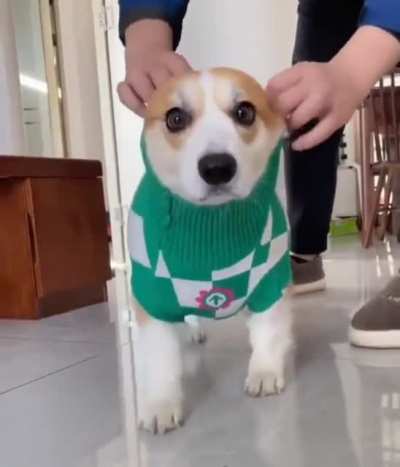 Dem ears tho