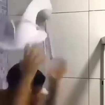 banho.