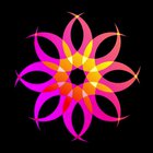 Quarantine Day 11: Since the last one looked kind of a like a star of David...