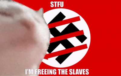 CatREVOLT