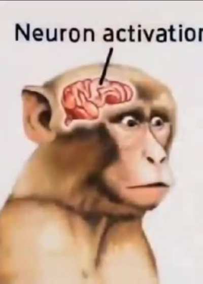neuron activation