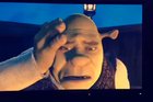 My Friend Wanted to Watch Shrek