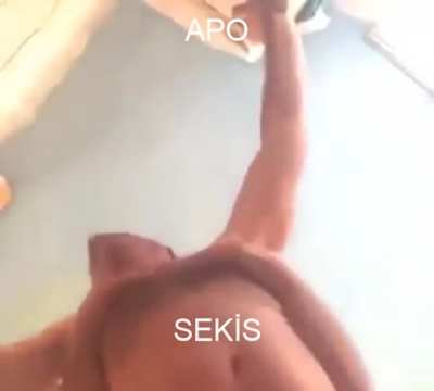 Apo Sekis (O kadar müstehcen olmadığı için NSWF koymadım. Hiçbir müstehcen yeri gözükmüyor çünkü.)