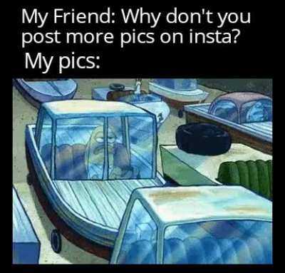 That's why I post memes.... in reddit ofc tho