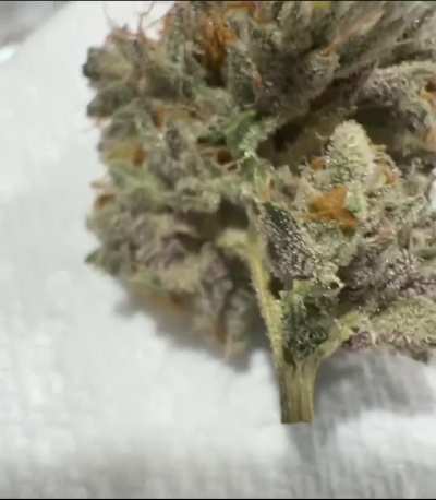 Sour Cakes
