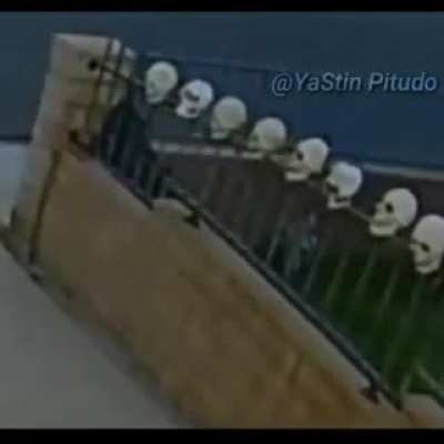 sans