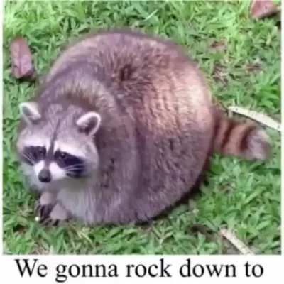 *Title*