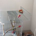 Not sure what is going on...