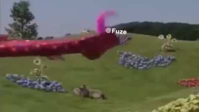 Assista até o último segundo!!!!