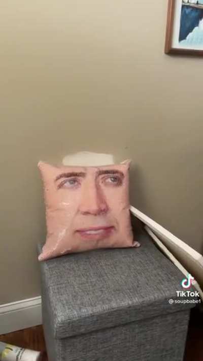 Dynamic Photo works on the Cage Cushion