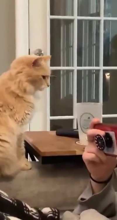 Чего расселась, вытирай теперь...
