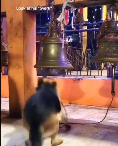 Goodest bell boy