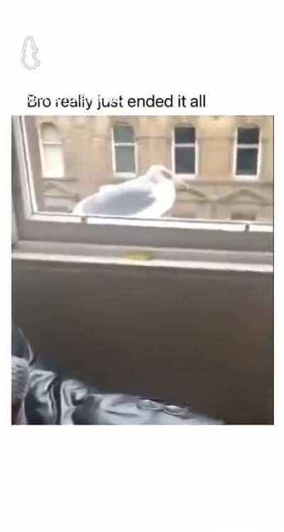 you died