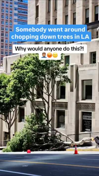 There will always be assholes who ruin it for everyone. LA