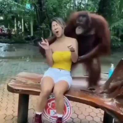 wtf