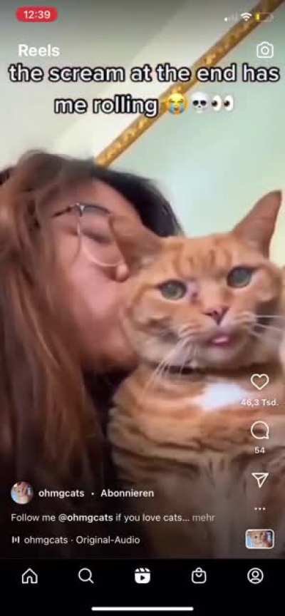 Cat is not amused