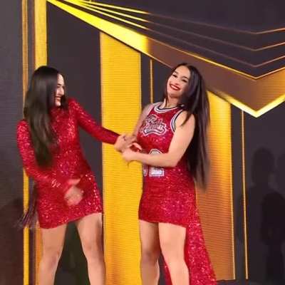 Brie & Nikki Bella
