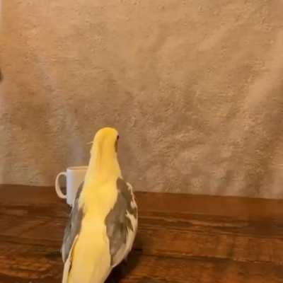 He Scared