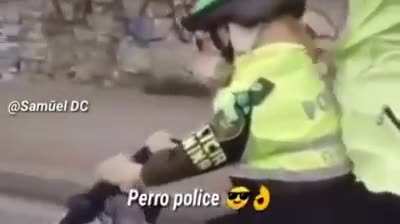 Hoy es 2 de momos colombianos siii