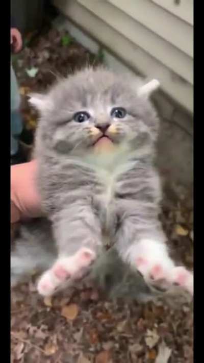 MEEEAAAAAAA