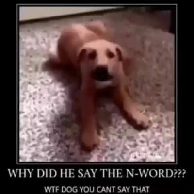 😳😳N-WORD?!?😳😳