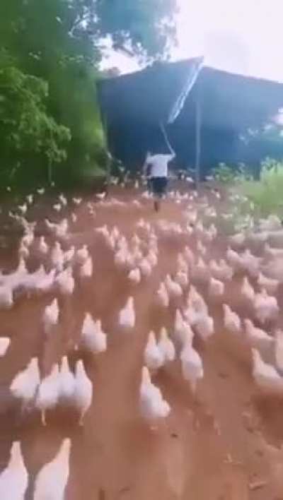 When the Barbecue is ready.