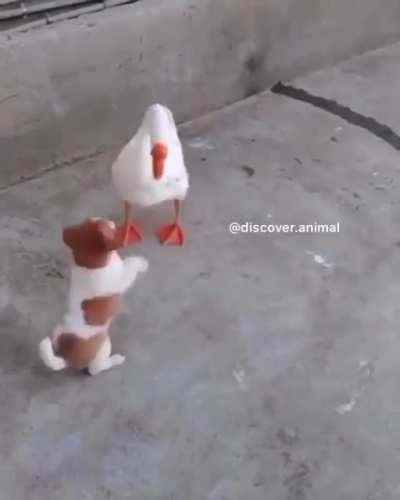 Весёлые друзья