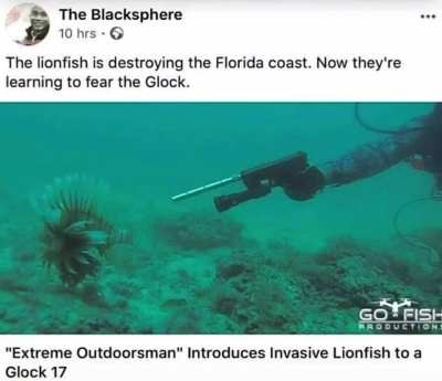 fuck lionfish anyways, they can be assholes