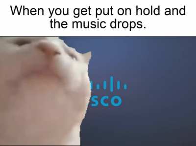 Turn that shit up!