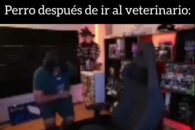 Dog after going to the vet (Ñ)