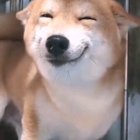 Smile anytime.