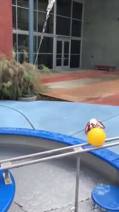 The coanda effect