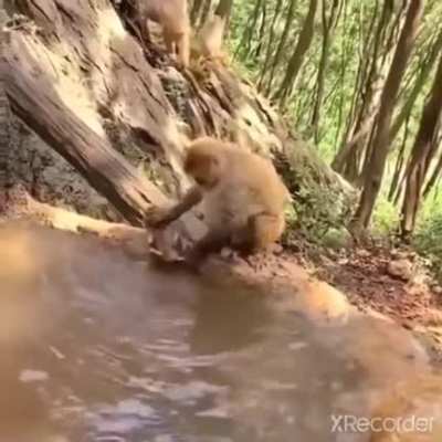 Come here you little shit.