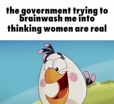 Don't fall for it!!!