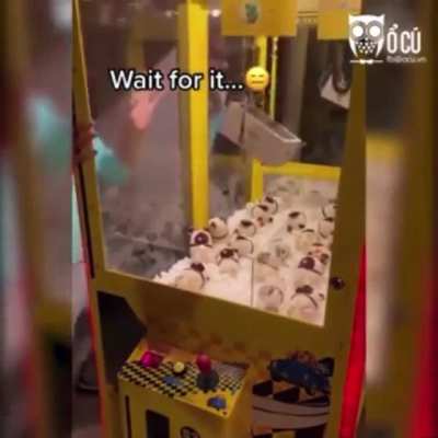 inesperado