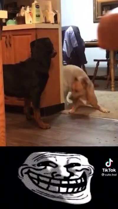 This is so sweet…