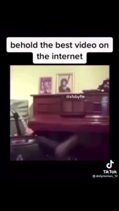 FOOKIN EEHWL