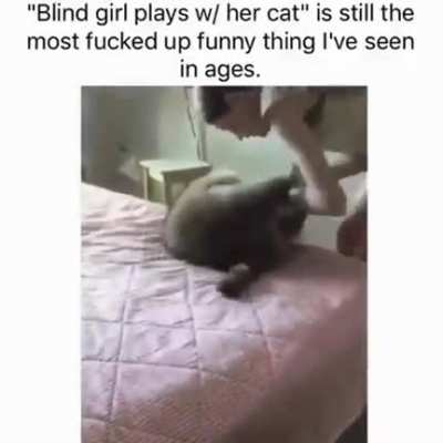 Good kitty
