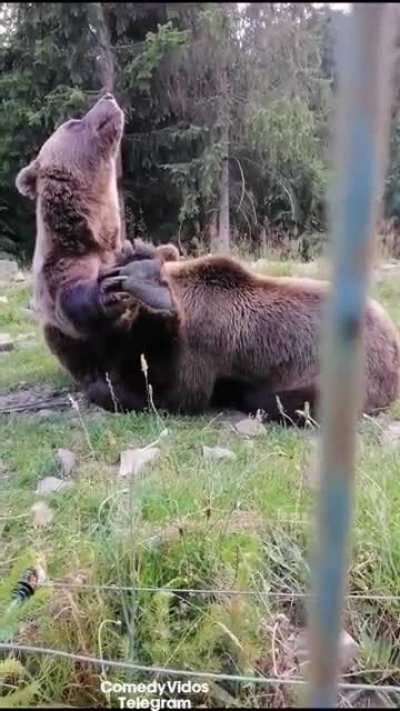 Это чем они там заним<wbr>аются<wbr>?