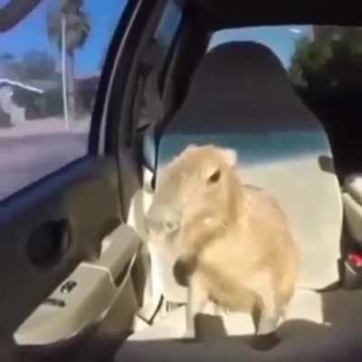 okay i pull up