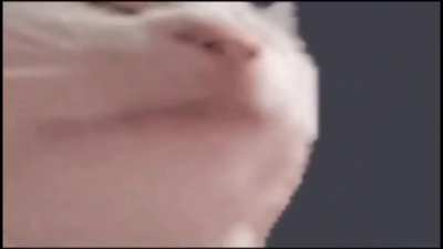 Me listening to the theme